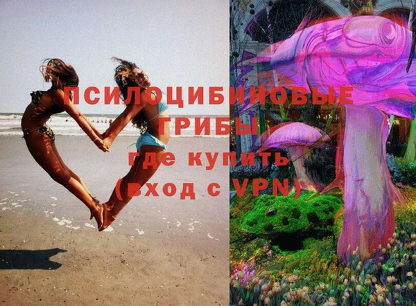 соль курить ск Алексеевка