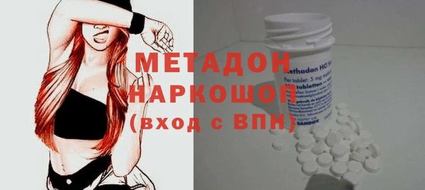 прущие грибы Инта