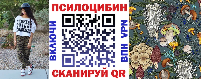 kraken ONION Североуральск Псилоцибиновые грибы GOLDEN TEACHER