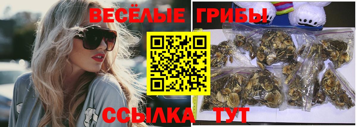 Псилоцибиновые грибы Cubensis  Вход с VPN  Североуральск 