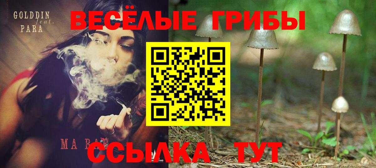 Галлюциногенные грибы ЛСД Североуральск